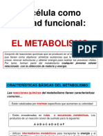 Metabolismo