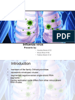 Influenza Virus 4