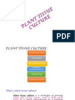 PTC Introduction and Media Composition