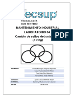 T04 Cambio de Sellos de Junta Torica (O'ring)