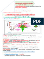 Cours Reproduction Chez Les Végétaux Univers Documents