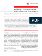 Claudin 1 Required For HCV Virus Entry H