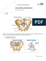 Anatomia Sacro-Iliaca