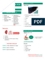 PDF EXTRA - Cuidados Pã S PCR