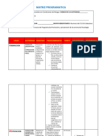 Final Matriz Programatica