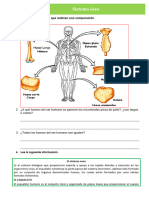 D2 A3 FICHA CT. Sistema Óseo