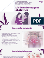 Assistência de Enfermagem Obstétrica (Salvo Automaticamente)