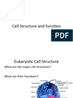 Organelles Practice