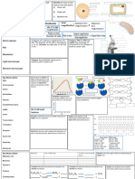 B1 - 3 Mindmaps