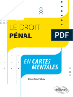 Le Droit Pénal en Cartes Mentales