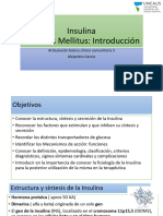 Insulina e Introduccion A La Diabetes Mellitus 1