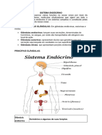 Anatomia