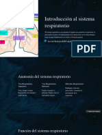 Introduccion Al Sistema Respiratorio