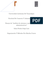 Ensayo de "Análisis de Sistemas y Procedimientos Administrativos"