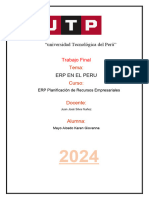 Trabajo de Erp Dos