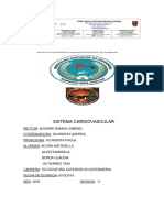 Sistema Cardiovascular