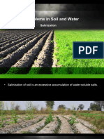 Salt Problems in Soil and Water 