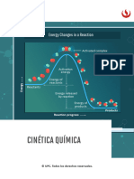 S4 - Manual Digital - Cinética Química