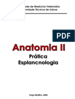 Anatomia II - Práticas Esplancnologia