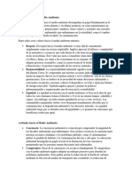 2.3 Valores Hacia El Medio Ambiente