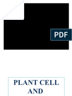 Plant and Animal Cell (Presentation)