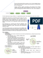 Mitosis Lesson Activity Handout