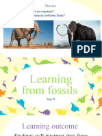 Learning From Fossils 2