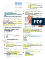 3F - Respiratory System-2