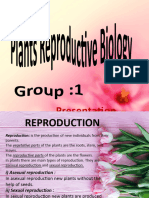 Group 1 Plants-Production