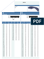 06.06 Catálogo Correa Poly V