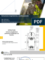 Clase Repaso Estructura Del Sistema Cardiorrespiratorio - 2