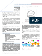 Bioquímica Modulo I