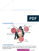 Tissus Musculaires Et Nerveux