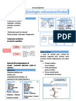 Anatomia e Fisiologia Osteomioarticular