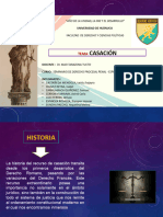 Casación DPP Expo.