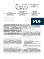 Phytoplasma Research Paper With Vectors