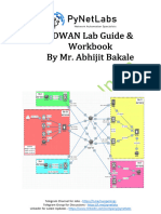 SD-WAN Lab Guide 