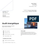 Exemple de Rapport D Audit