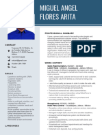 Miguel Angel Flores Arita English CV