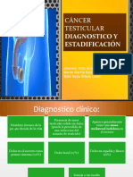 DX Ca Testicular