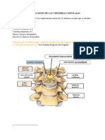 Articulaciones de Las Vértebras Cervicales