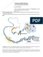 Genetics and Reproduction - Asexual Reproduction and Mitosis