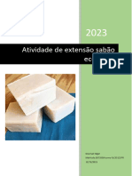 Atividade de Extensão Sabão Ecológico