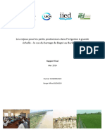 Les Enjeux Pour Les Petits Producteurs Dans L'irrigation À Grande Échelle - Le Cas Du Barrage de Bagré Au Burkina Faso