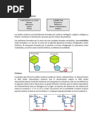 Clase 4 - Ácidos Nucleicos