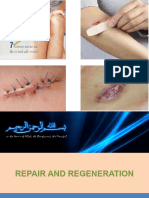 Repair & Wound Healing 2024 SMC