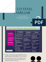 5 Ciclo Vital FAMILIAR