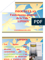 Diapositivas de LIPIDOS