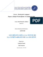 Copie de LES DELITS LIES A LA COMPTABILITE DE LA SOCIETE