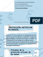 Protección Articular